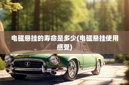 电磁悬挂的寿命是多少(电磁悬挂使用感受)