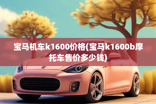 宝马机车k1600价格(宝马k1600b摩托车售价多少钱)