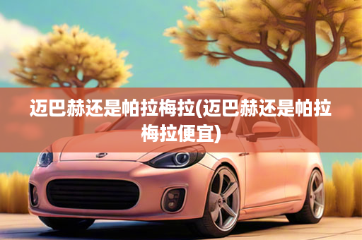 迈巴赫还是帕拉梅拉(迈巴赫还是帕拉梅拉便宜)