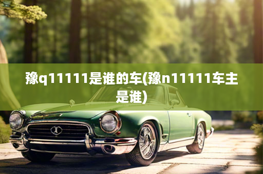 豫q11111是谁的车(豫n11111车主是谁)