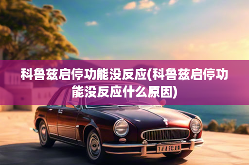 科鲁兹启停功能没反应(科鲁兹启停功能没反应什么原因)