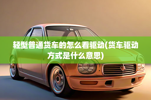 轻型普通货车的怎么看驱动(货车驱动方式是什么意思)