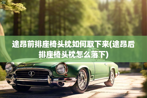 途昂前排座椅头枕如何取下来(途昂后排座椅头枕怎么落下)