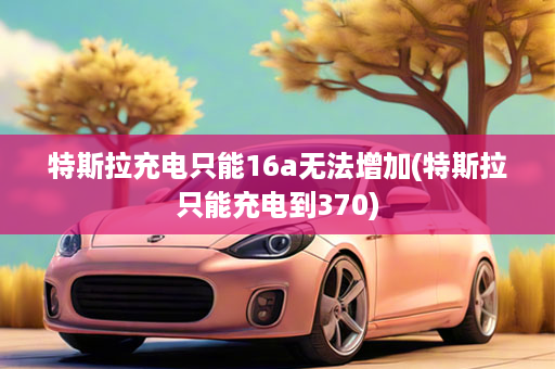 特斯拉充电只能16a无法增加(特斯拉只能充电到370)