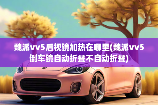 魏派vv5后视镜加热在哪里(魏派vv5倒车镜自动折叠不自动折叠)