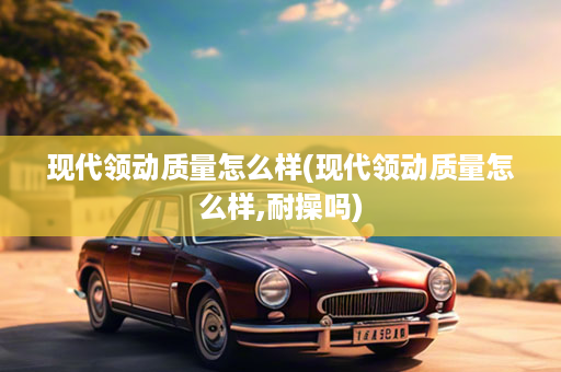 现代领动质量怎么样(现代领动质量怎么样,耐操吗)