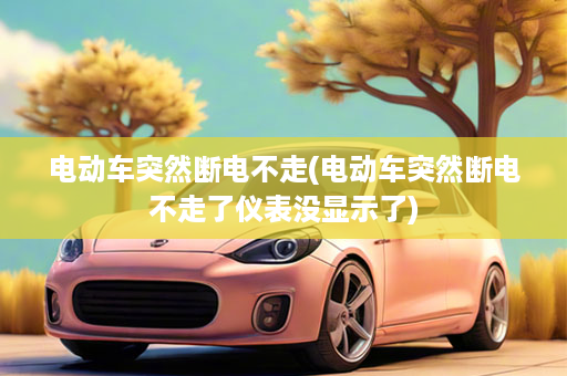 电动车突然断电不走(电动车突然断电不走了仪表没显示了)
