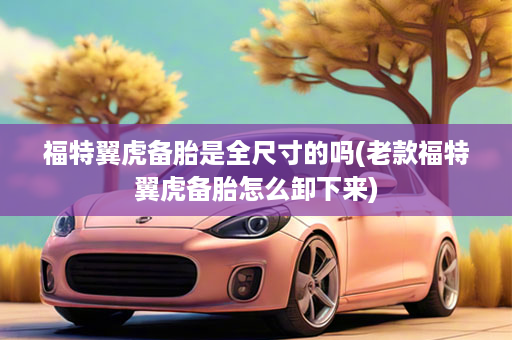 福特翼虎备胎是全尺寸的吗(老款福特翼虎备胎怎么卸下来)
