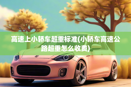 高速上小轿车超重标准(小轿车高速公路超重怎么收费)