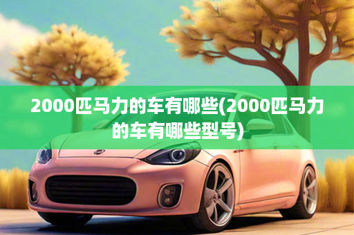 2000匹马力的车有哪些(2000匹马力的车有哪些型号)