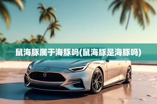 鼠海豚属于海豚吗(鼠海豚是海豚吗)