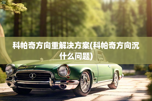 科帕奇方向重解决方案(科帕奇方向沉什么问题)