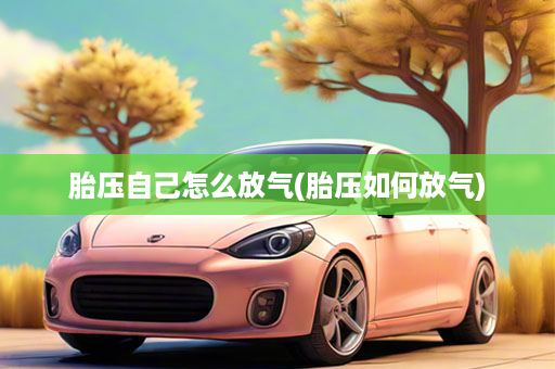 胎压自己怎么放气(胎压如何放气)