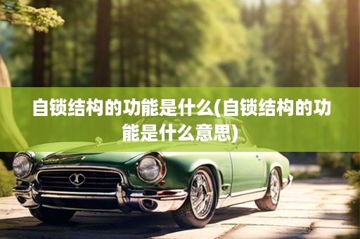 自锁结构的功能是什么(自锁结构的功能是什么意思)