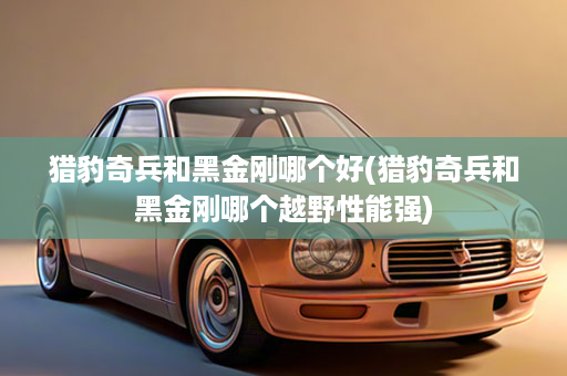 猎豹奇兵和黑金刚哪个好(猎豹奇兵和黑金刚哪个越野性能强)
