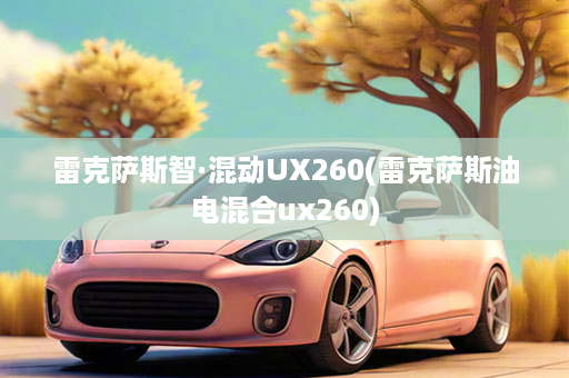 雷克萨斯智·混动UX260(雷克萨斯油电混合ux260)