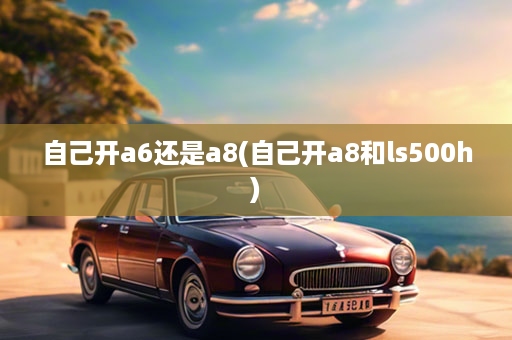 自己开a6还是a8(自己开a8和ls500h)