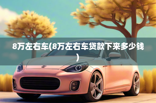 8万左右车(8万左右车贷款下来多少钱)