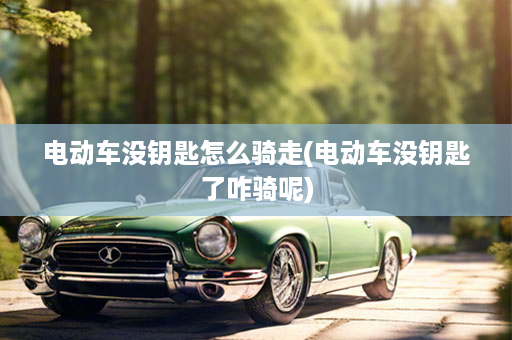 电动车没钥匙怎么骑走(电动车没钥匙了咋骑呢)