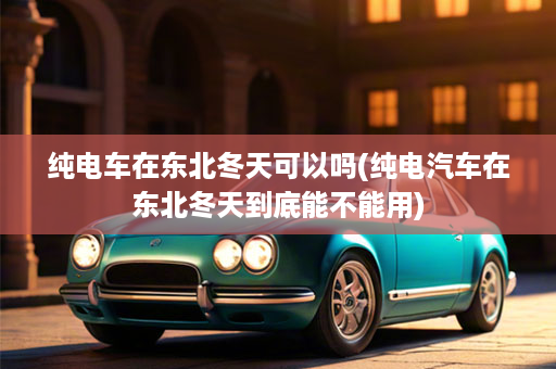 纯电车在东北冬天可以吗(纯电汽车在东北冬天到底能不能用)