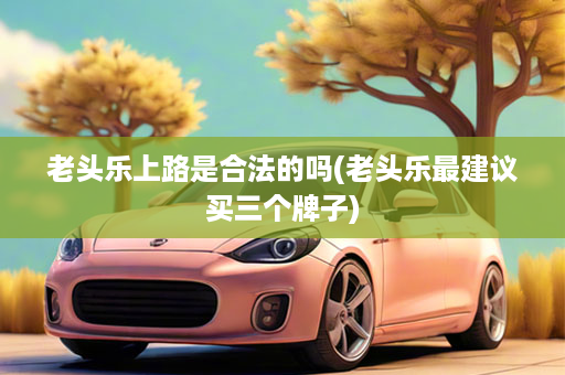 老头乐上路是合法的吗(老头乐最建议买三个牌子)