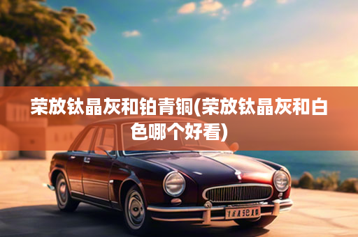 荣放钛晶灰和铂青铜(荣放钛晶灰和白色哪个好看)