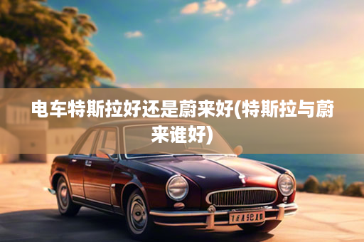 电车特斯拉好还是蔚来好(特斯拉与蔚来谁好)