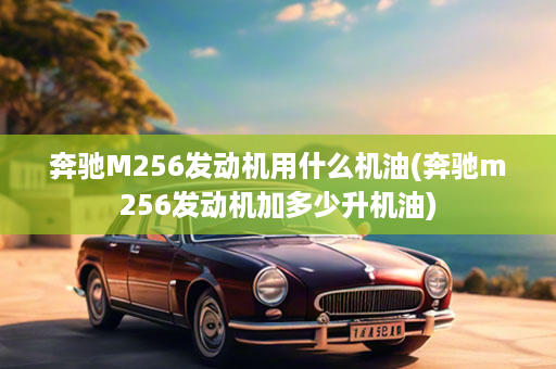 奔驰M256发动机用什么机油(奔驰m256发动机加多少升机油)