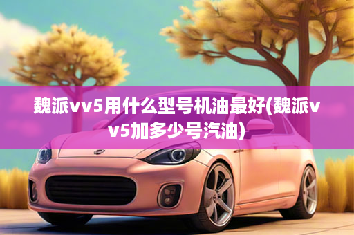 魏派vv5用什么型号机油最好(魏派vv5加多少号汽油)