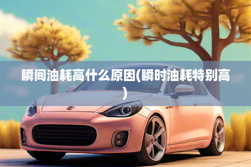 瞬间油耗高什么原因(瞬时油耗特别高)
