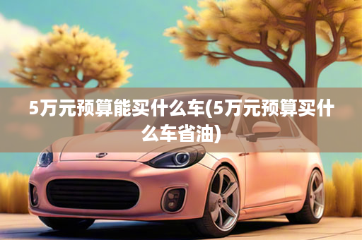5万元预算能买什么车(5万元预算买什么车省油)