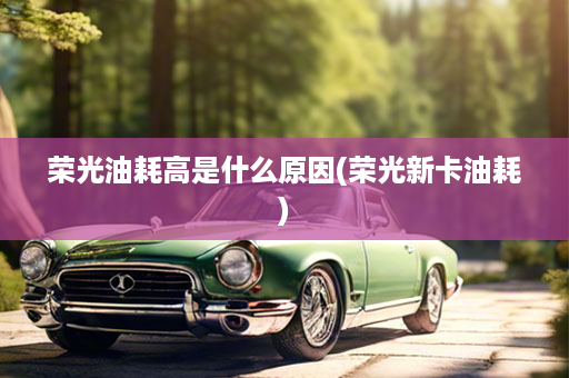 荣光油耗高是什么原因(荣光新卡油耗)