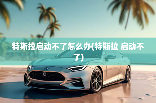 特斯拉启动不了怎么办(特斯拉 启动不了)