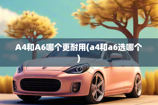 A4和A6哪个更耐用(a4和a6选哪个)