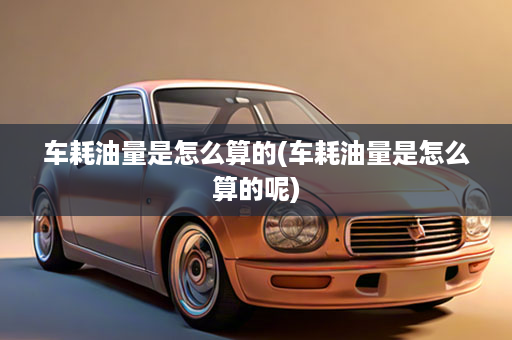 车耗油量是怎么算的(车耗油量是怎么算的呢)