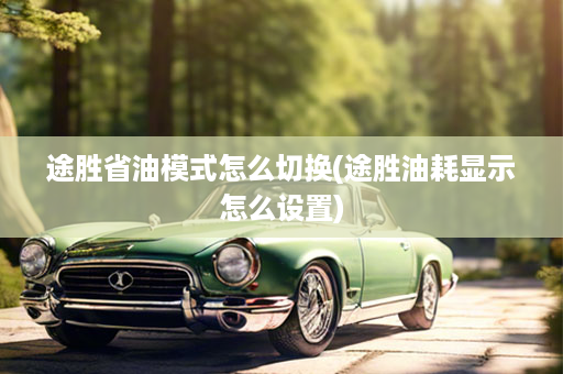 途胜省油模式怎么切换(途胜油耗显示怎么设置)