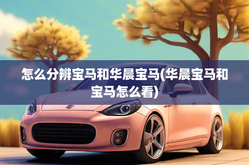 怎么分辨宝马和华晨宝马(华晨宝马和宝马怎么看)