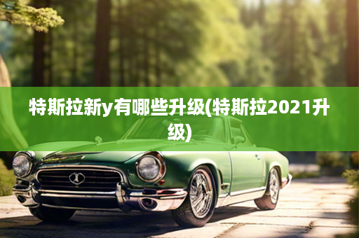 特斯拉新y有哪些升级(特斯拉2021升级)