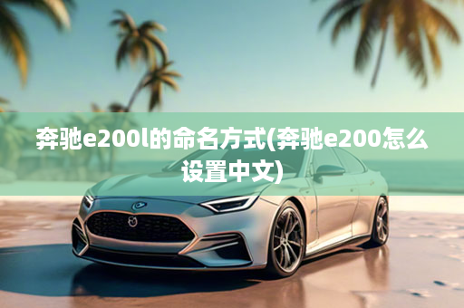 奔驰e200l的命名方式(奔驰e200怎么设置中文)