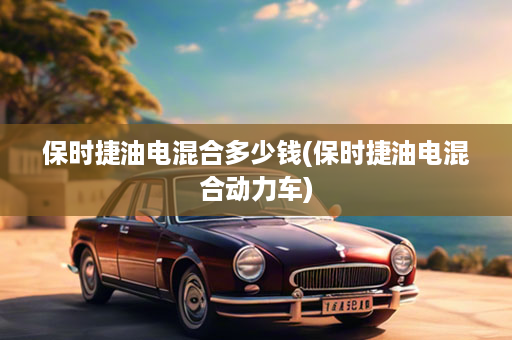 保时捷油电混合多少钱(保时捷油电混合动力车)