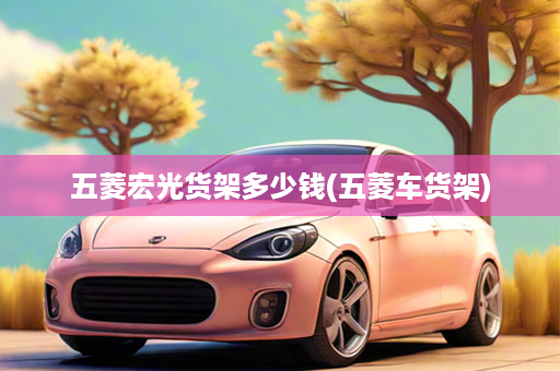 五菱宏光货架多少钱(五菱车货架)