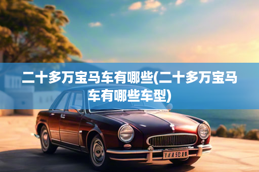 二十多万宝马车有哪些(二十多万宝马车有哪些车型)