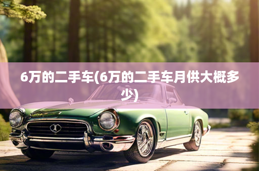 6万的二手车(6万的二手车月供大概多少)