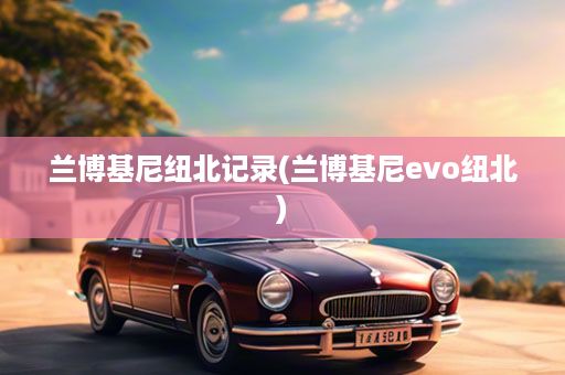 兰博基尼纽北记录(兰博基尼evo纽北)