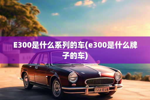 E300是什么系列的车(e300是什么牌子的车)