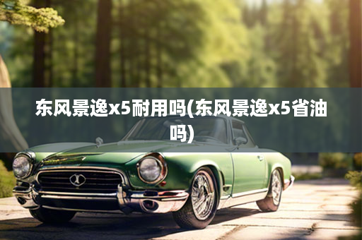 东风景逸x5耐用吗(东风景逸x5省油吗)