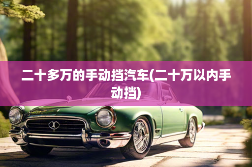 二十多万的手动挡汽车(二十万以内手动挡)