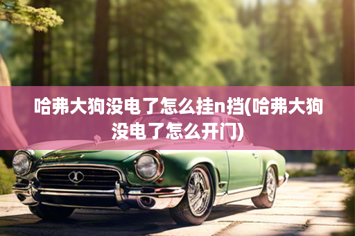 哈弗大狗没电了怎么挂n挡(哈弗大狗没电了怎么开门)