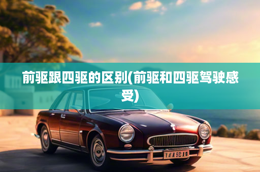 前驱跟四驱的区别(前驱和四驱驾驶感受)