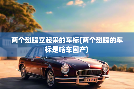 两个翅膀立起来的车标(两个翅膀的车标是啥车国产)